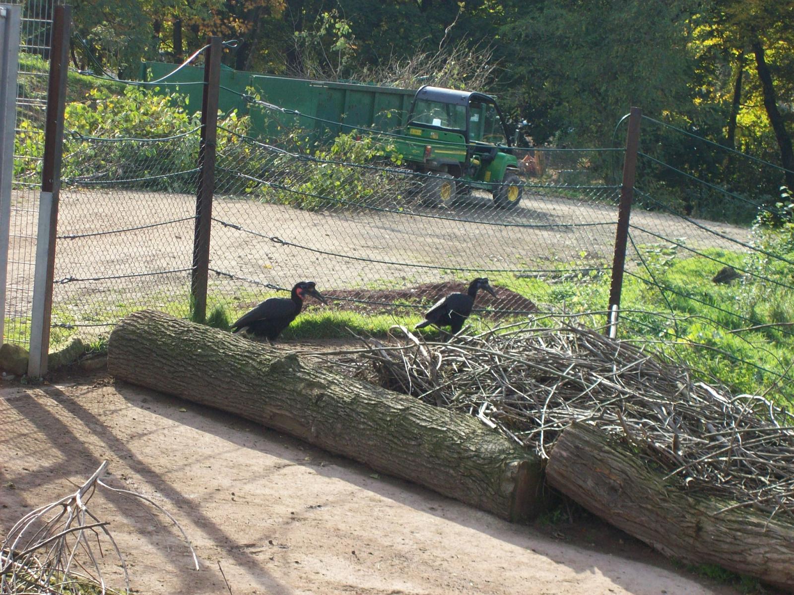Zoom 18.10.2008-120.jpg